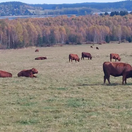 Jura Nová Pec